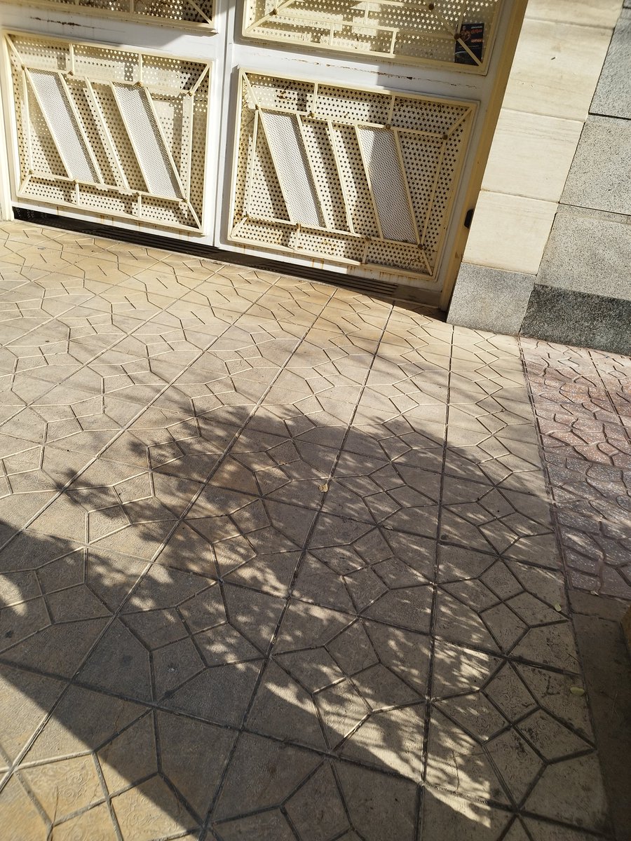 niddlebit tweet media