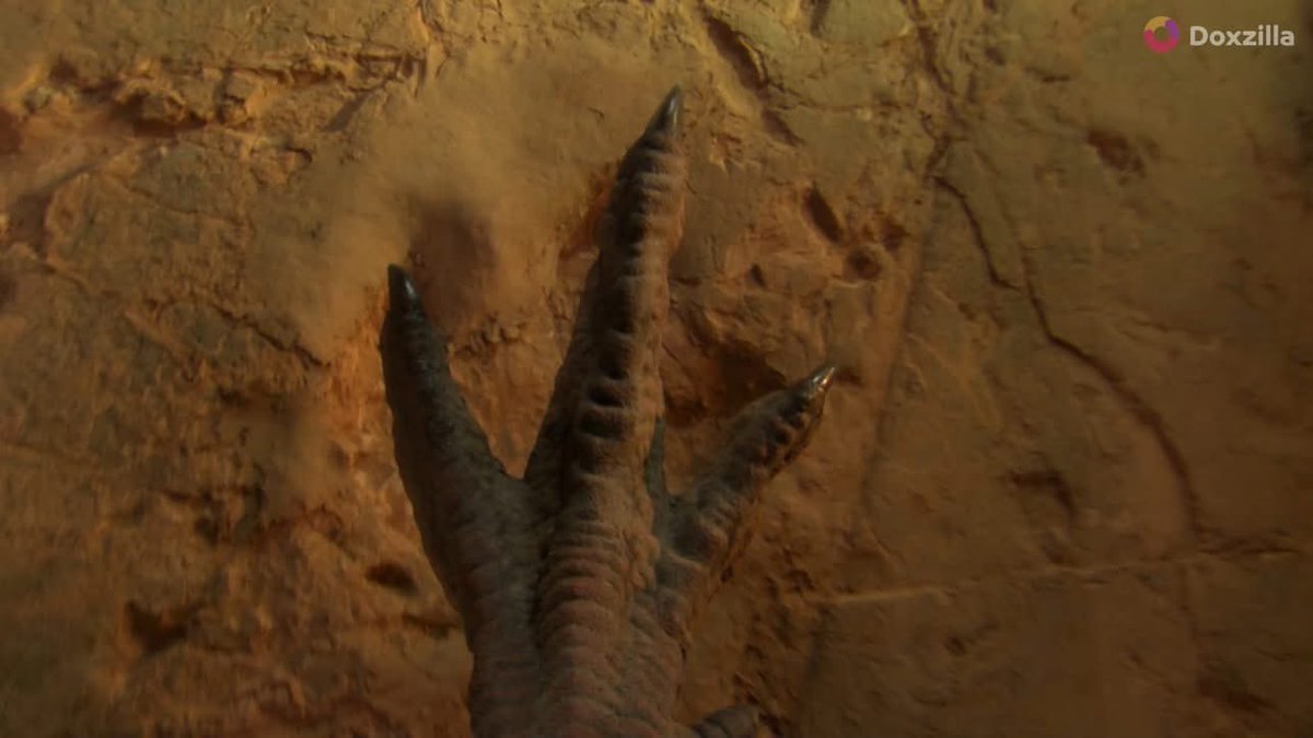 Next Step tweet media