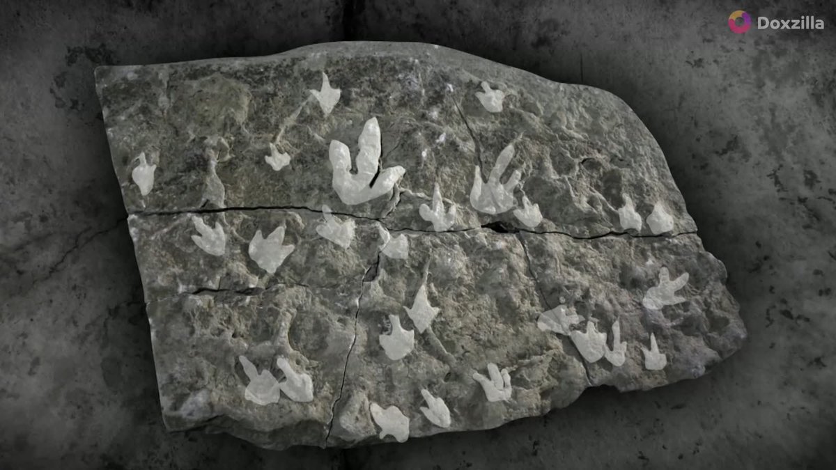 Next Step tweet media