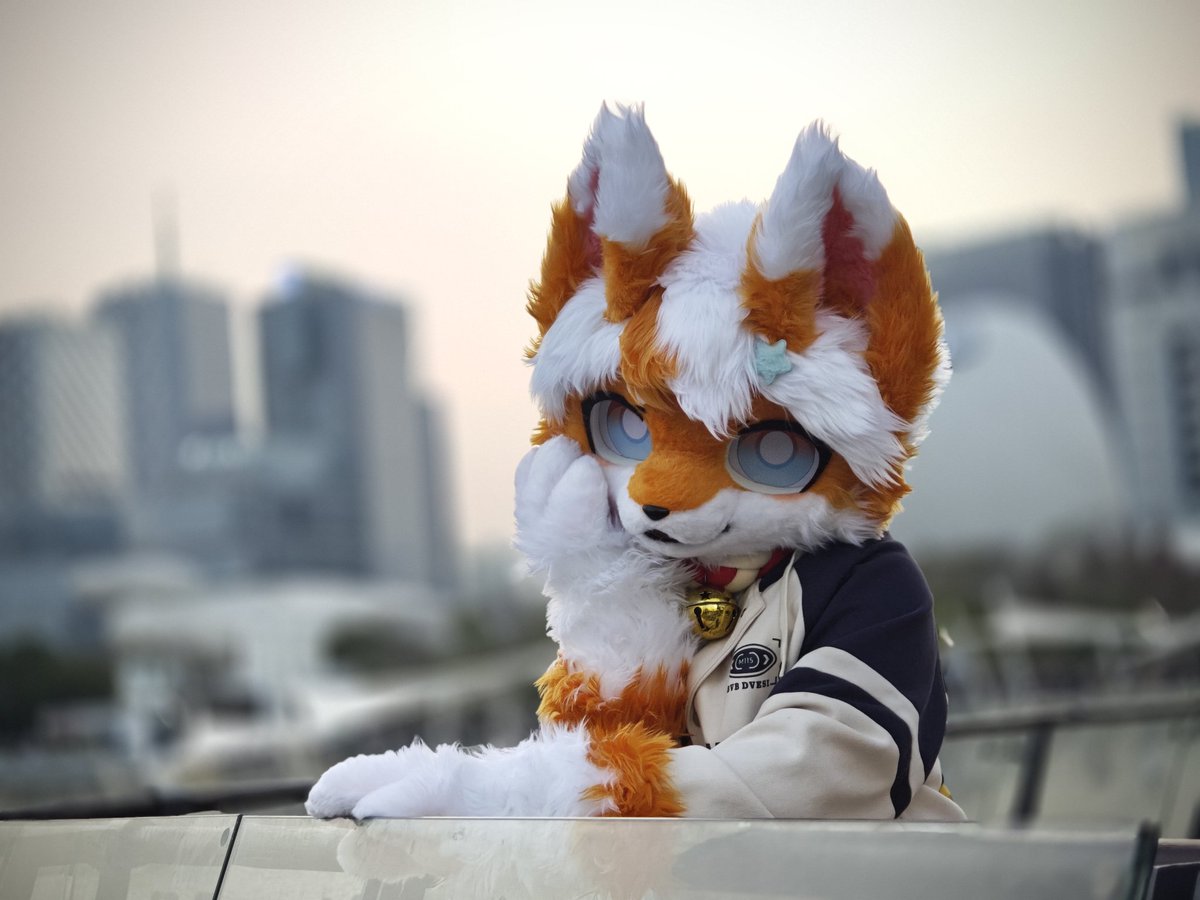 “橙澈啊，你说……我们岛上安宁快乐的生活怎么来到这个到处都是玻璃房子的地方就不适用了呢，毛毛们的思路和这里的人类有什么区别呢……”
📷:我自己
🐱替:<a href="/huiyansama/">灰岩➡️澜西群岛</a>