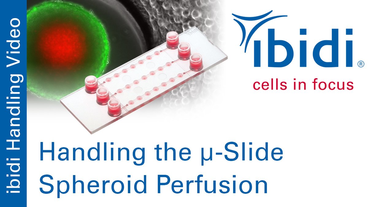 ibidi GmbH tweet media