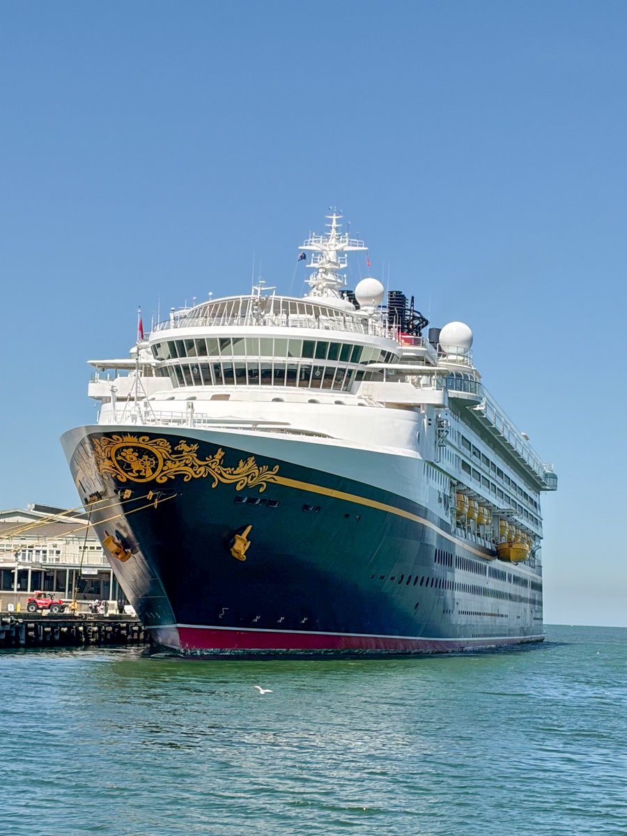 Moti (@omochimotii) / Posts / X