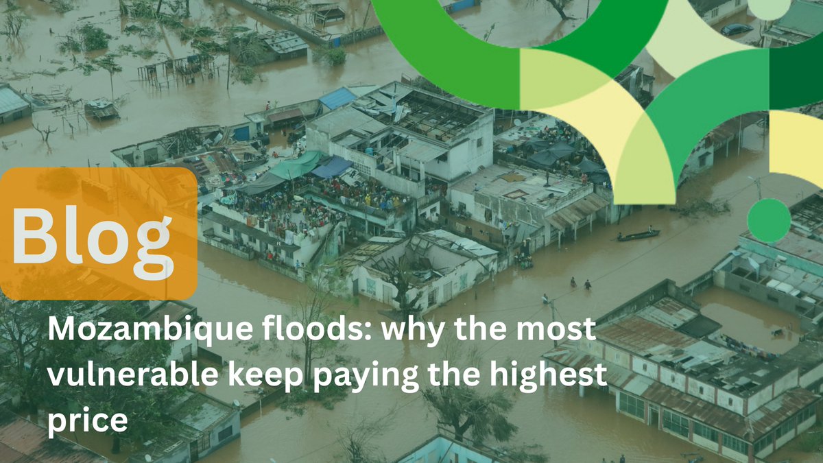 IGMozambique tweet media