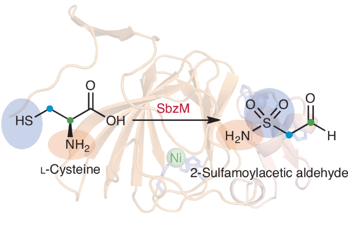 Nature Catalysis tweet media