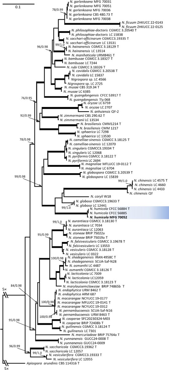Ecological Agriculture Research tweet media