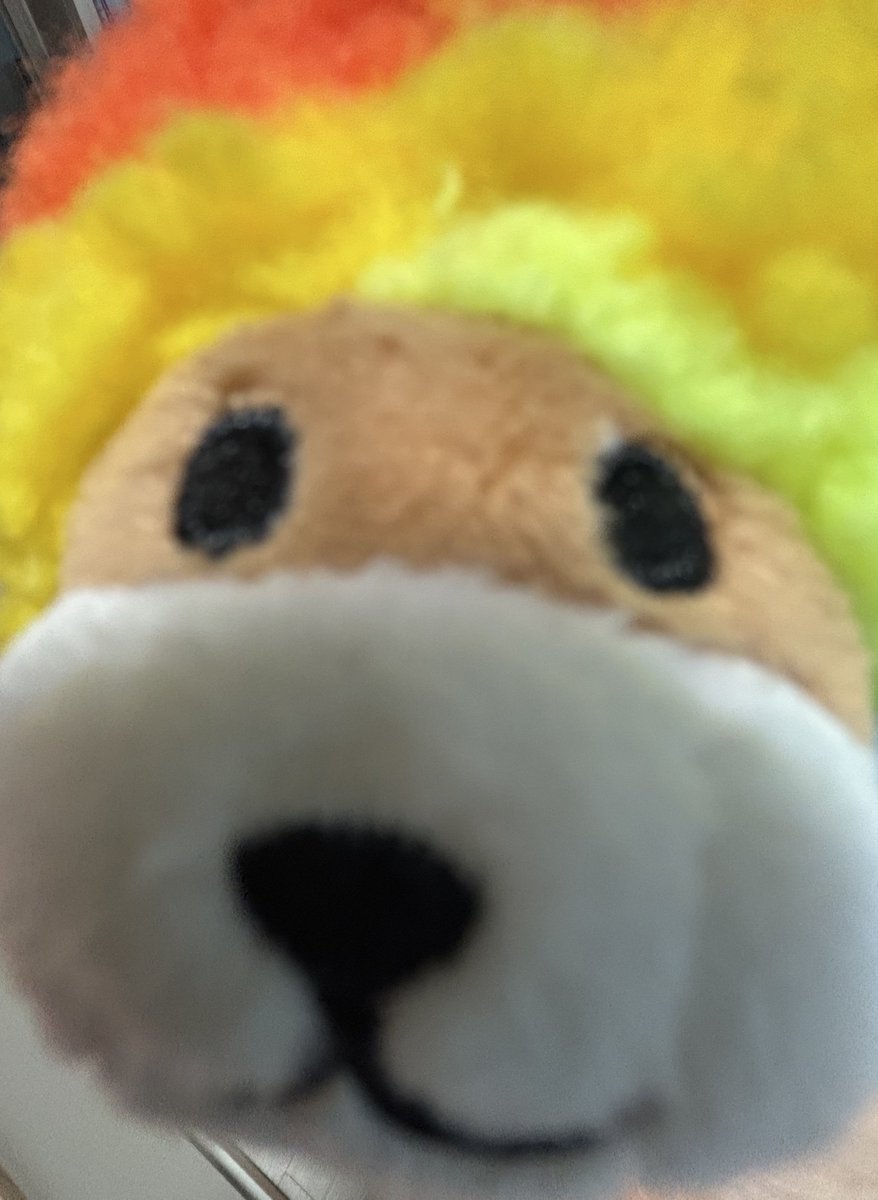 비빔이 tweet media