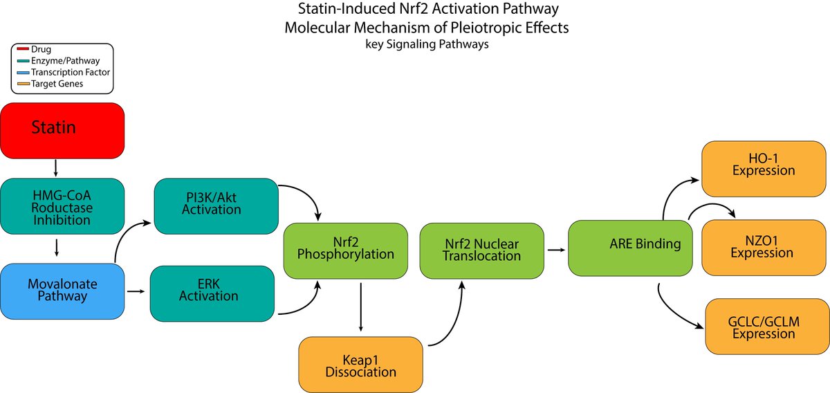 Reviews in Cardiovascular Medicine tweet media