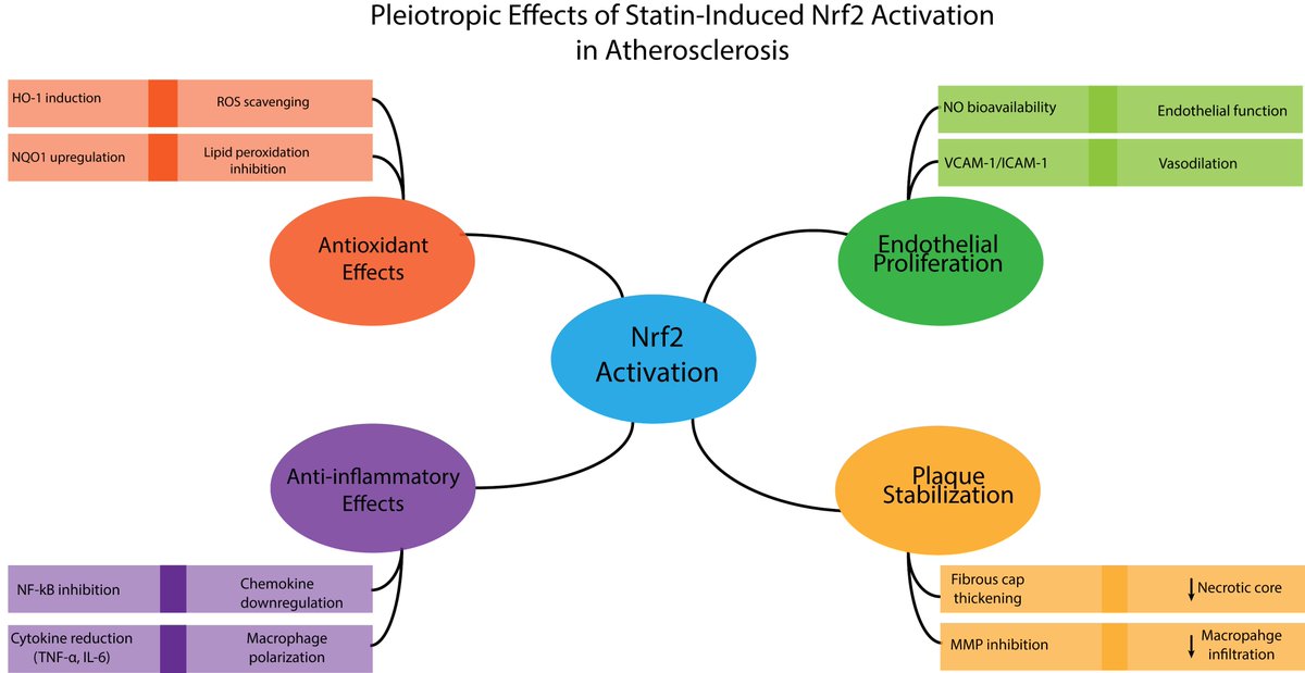 Reviews in Cardiovascular Medicine tweet media