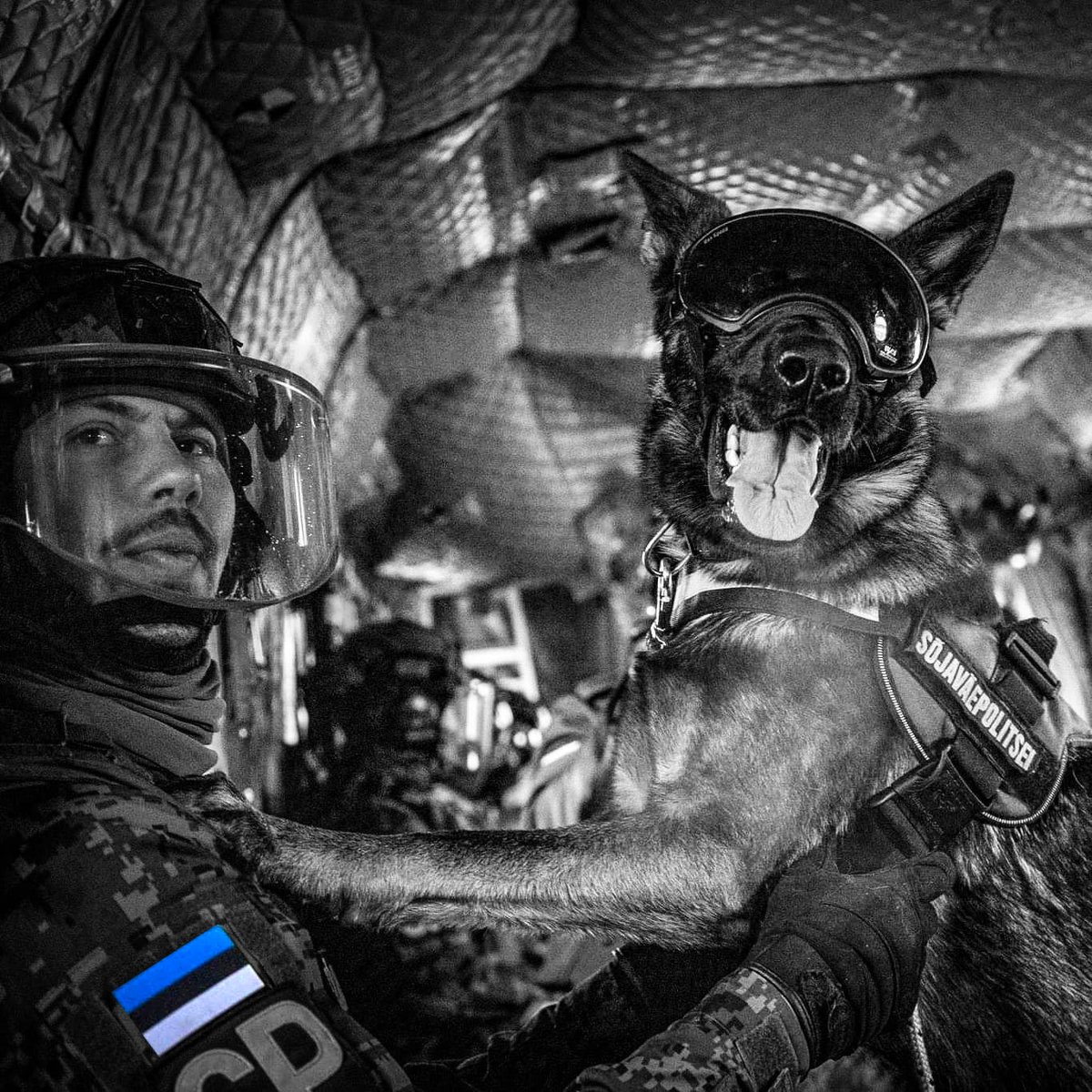 NATO Allied Land Command tweet media