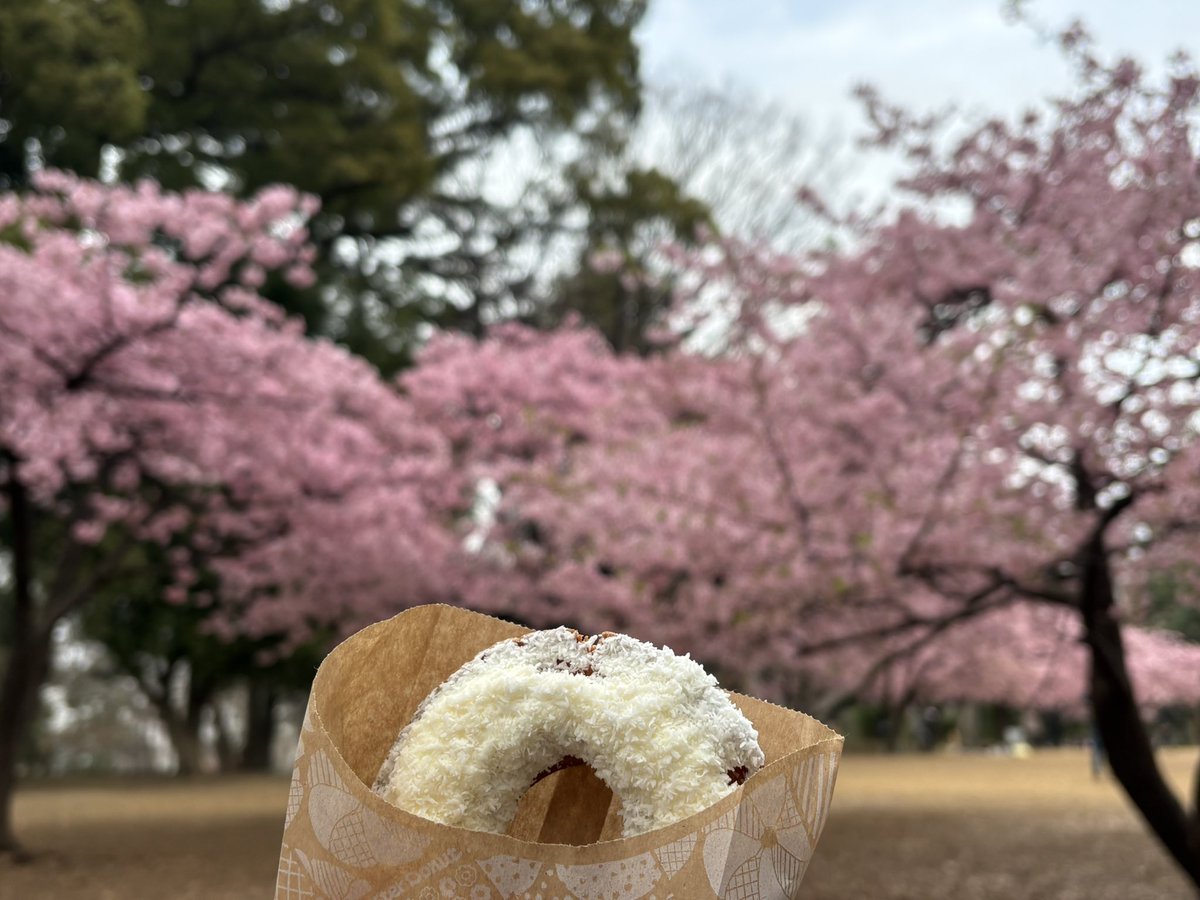 ドーナツにも桜見せてあげた
