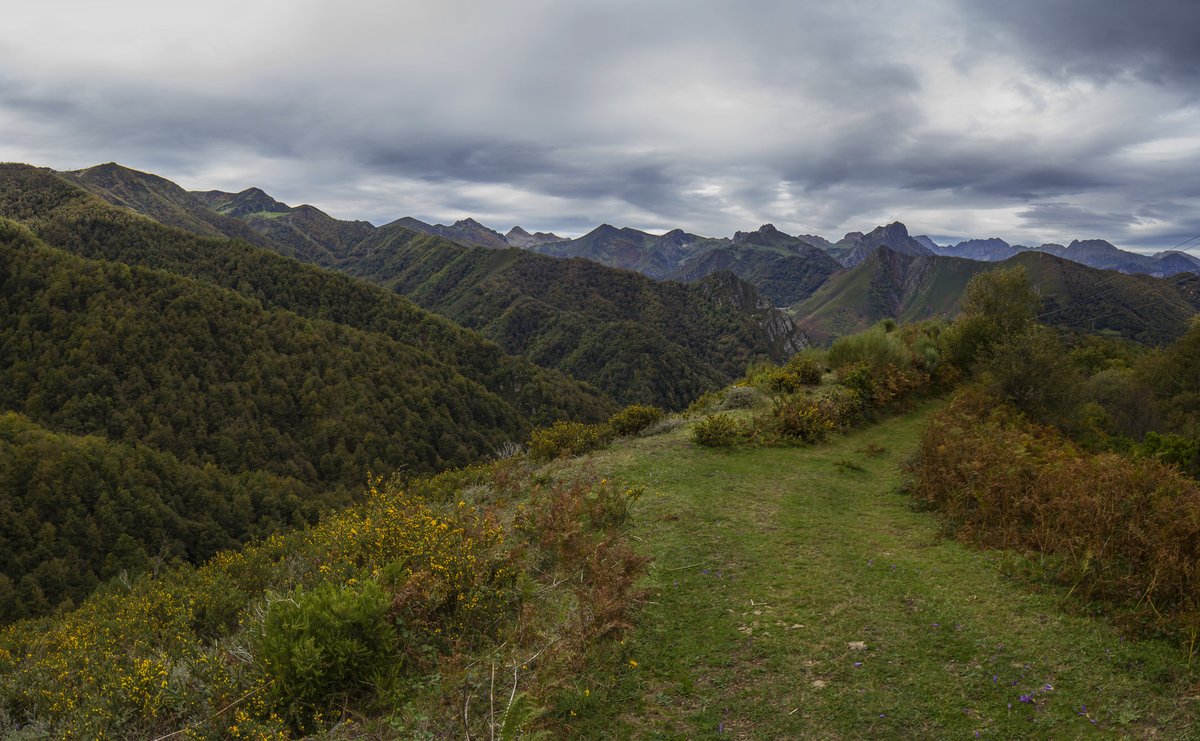 Quítate d'andar pelos caminos reales, camina pelos senderos. 
Pitágoras