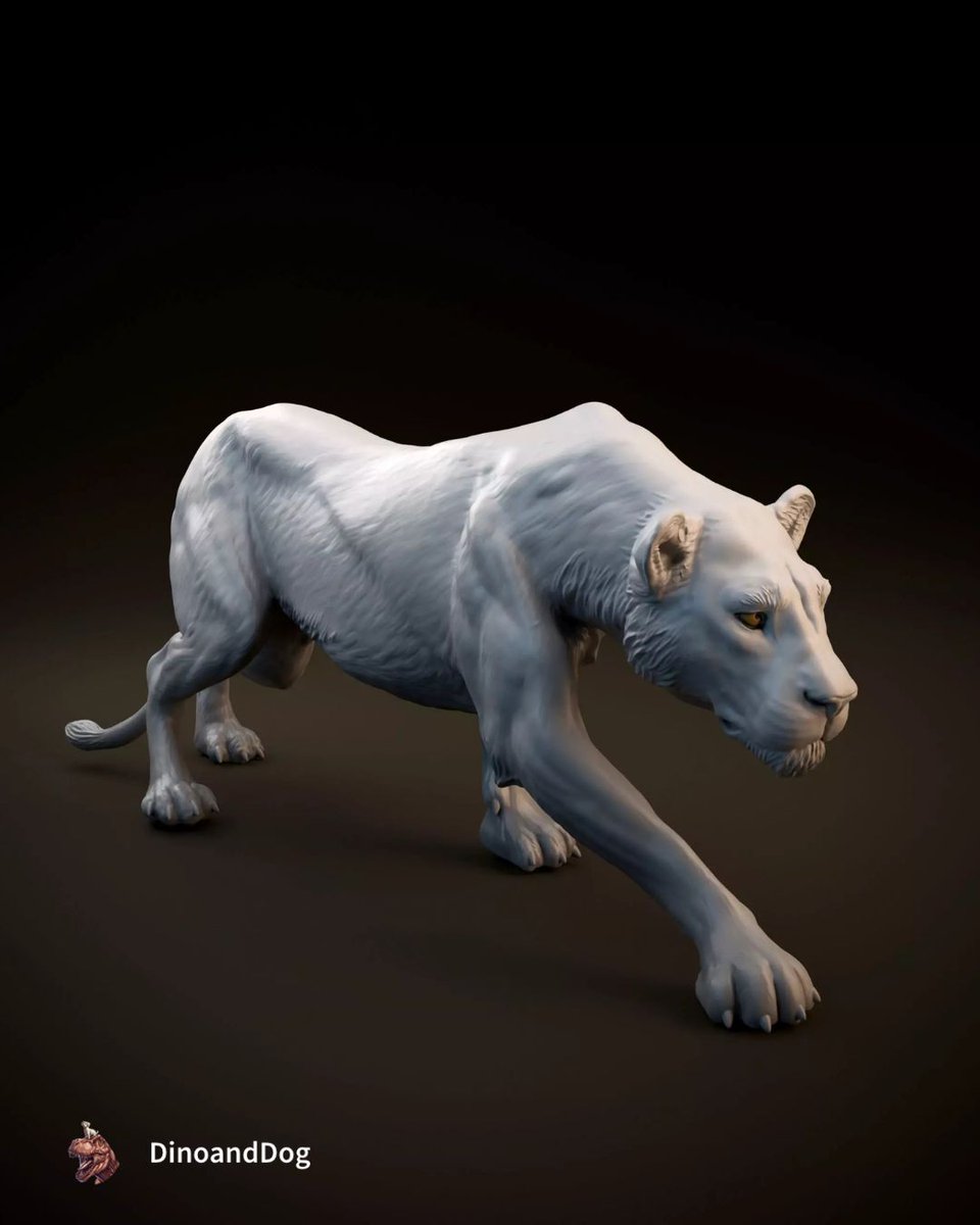 CGTrader tweet media