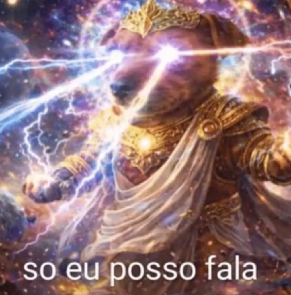acervo doguinhos (@acervodoguinhos) on Twitter photo 