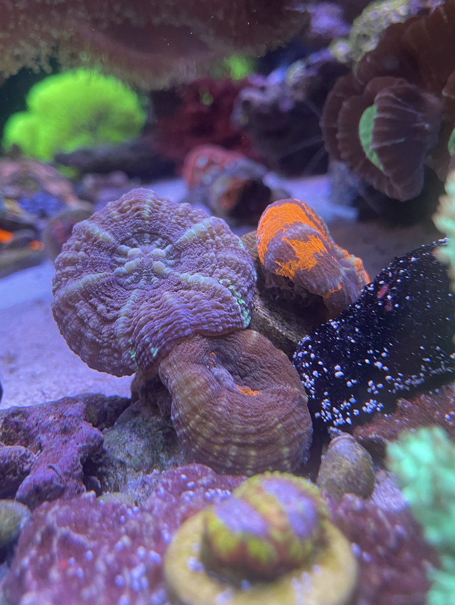 プニとプニがムニュンてしてる。
カクでは得られない栄養がそこにあった🤤