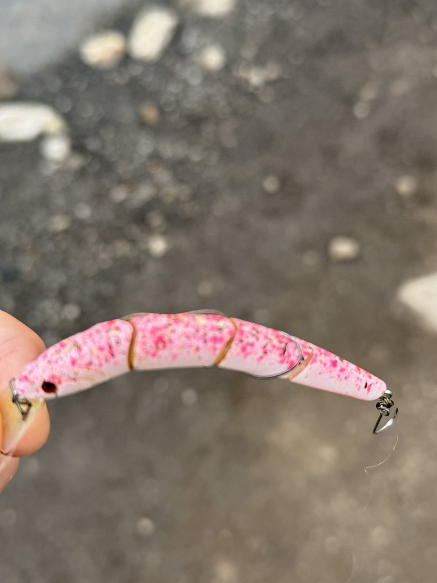 トトロ🍃 (@TOTORO_JZX100) / Posts / X