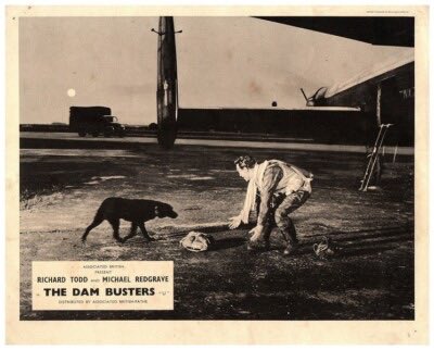 Peter Weird tweet media