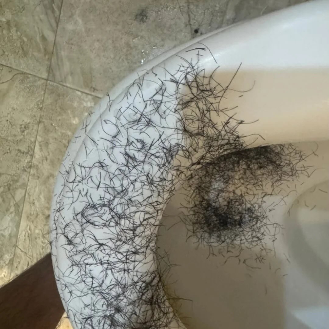 TRAIL🪡 tweet media