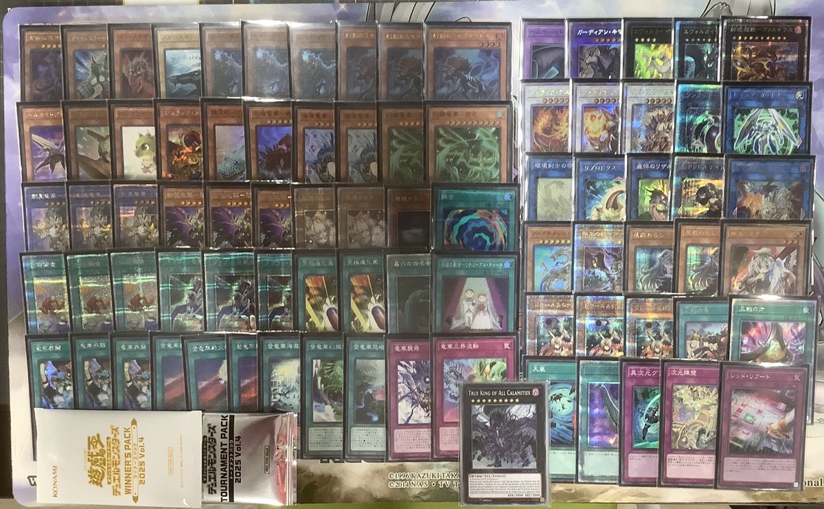 ㅤ ◤#からふだ◢ ㅤ ⚔ 優勝 ハサ 【恐竜族竜華】 ⚔ ⚔ 2/24