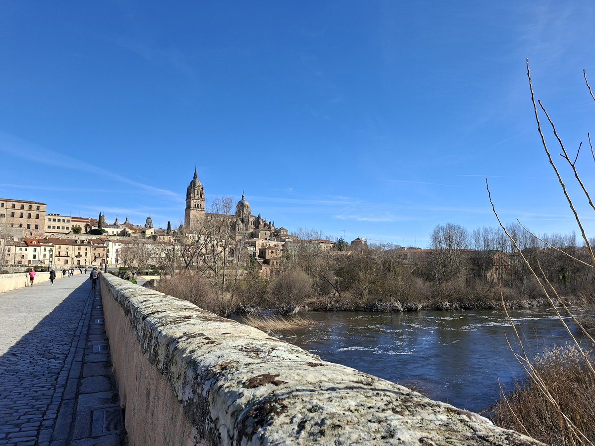 sean_f_scullion's tweet image. A cracking Day 2 yesterday morning visiting the Salamanca battlefield and the city. Do visit if you can....
#Wellington #PeninsularWar #ChickenLegGate