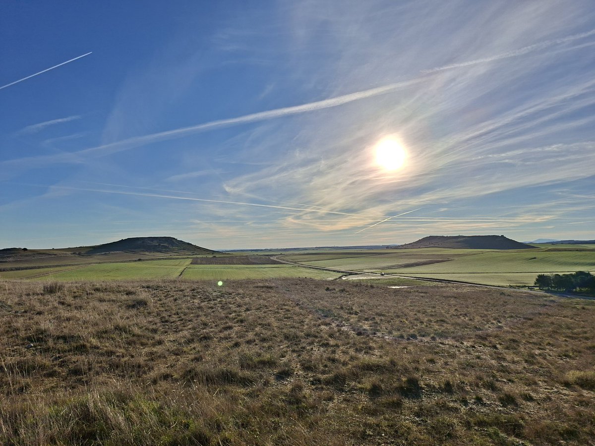 sean_f_scullion's tweet image. A cracking Day 2 yesterday morning visiting the Salamanca battlefield and the city. Do visit if you can....
#Wellington #PeninsularWar #ChickenLegGate