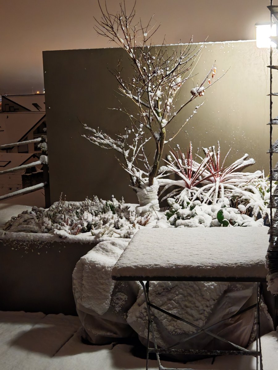 Geoff_OConnell's tweet image. A few days late posting this as we begin to crawl out of winter, snow arrives one month later than last year. A good 6cm by midnight. #winter2026 #Luxlife #Luxembourg