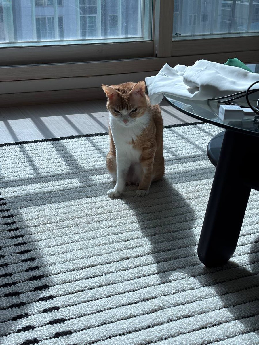 햇빛쐬는데 표정이 왜그래…