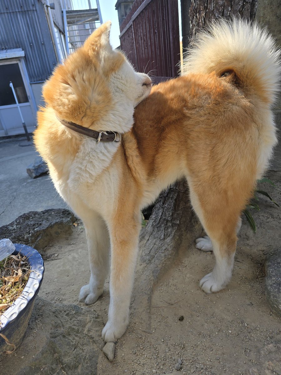 ْ (@65907_30_4) / Posts / X