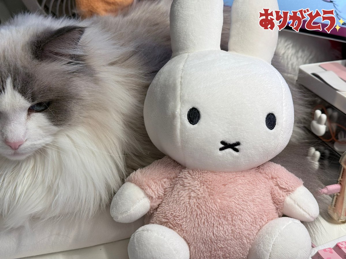 🌸大感謝🌸 kenさんに欲しいものリスト(もとい、いつか買うものリスト