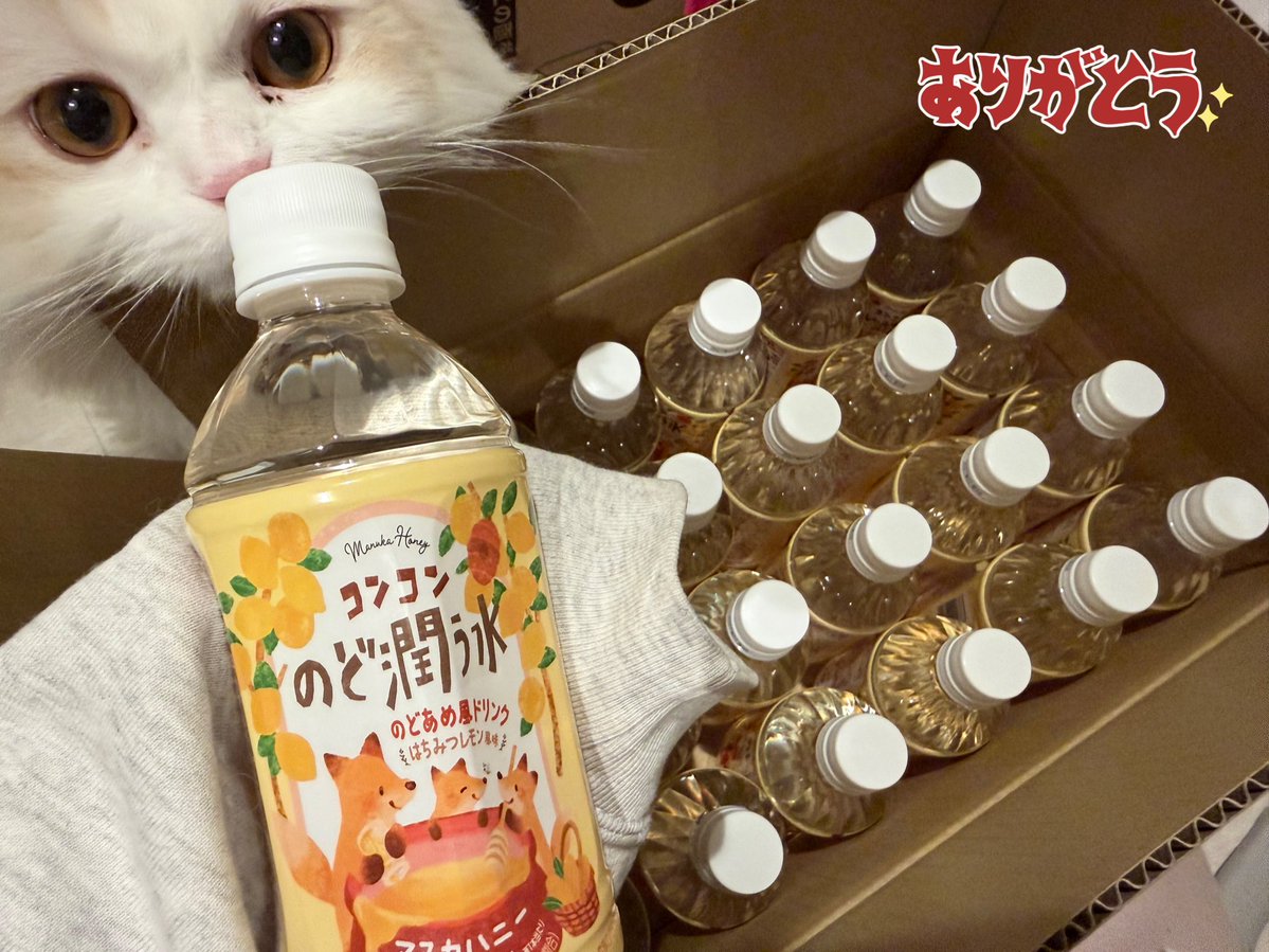 🌸大感謝🌸 kenさんに欲しいものリスト(もとい、いつか買うものリスト