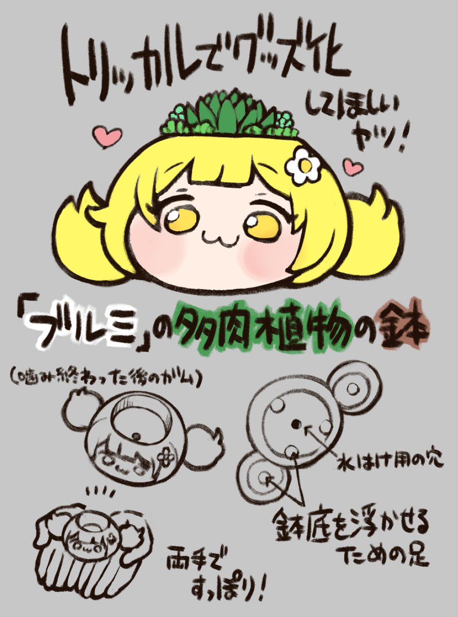 韓国は多肉植物も盛んなのできっとバカウケや (※ˇ∞ˇ※)(確信) 