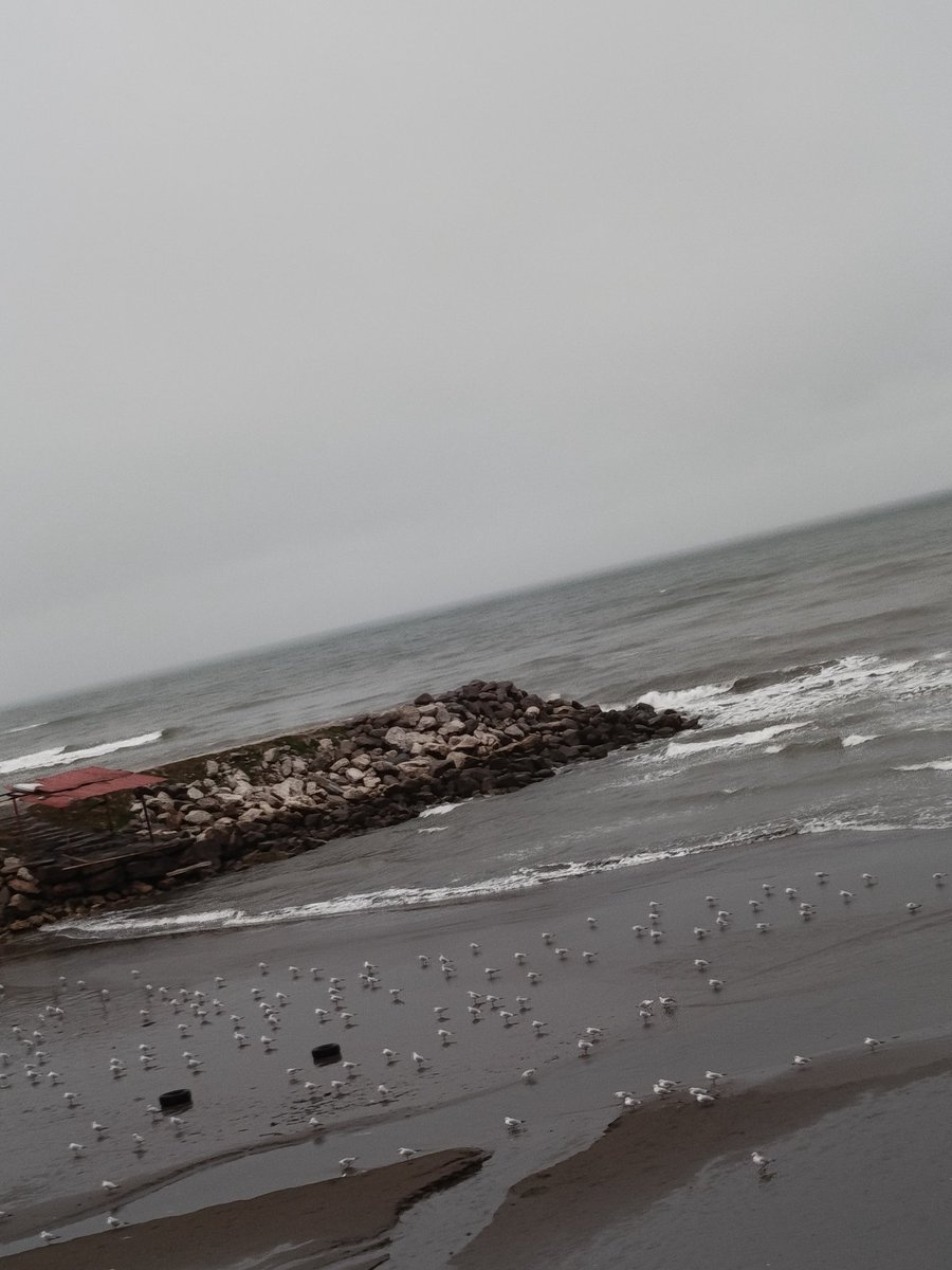 Grand rising legends☀️🌊 

Have a wonderful day ahead🫶