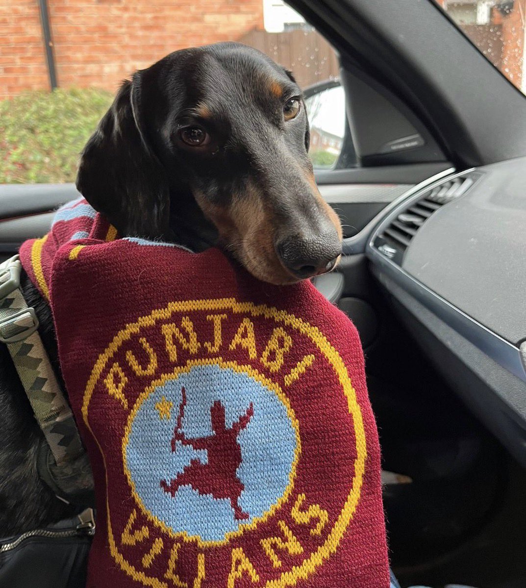 Punjabi Villans tweet media