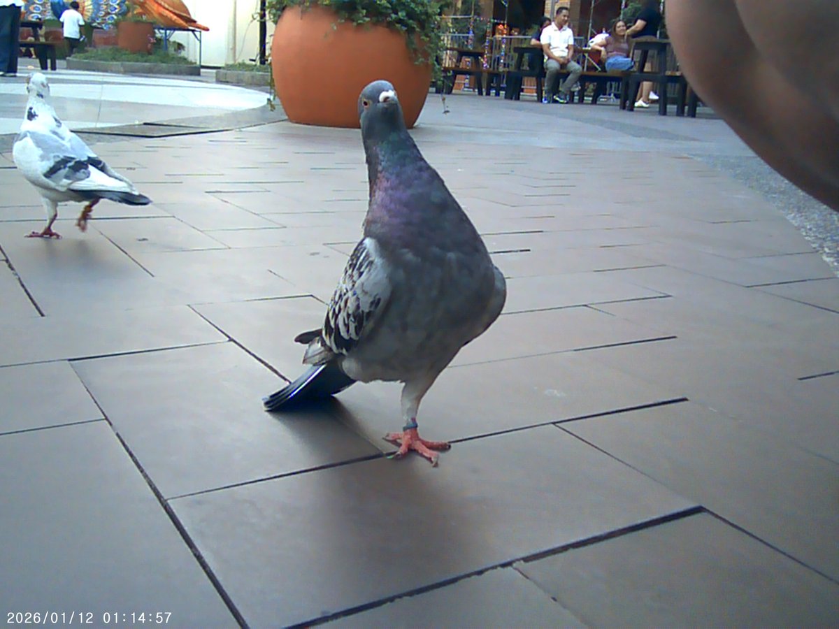 mugi 😁 tweet media