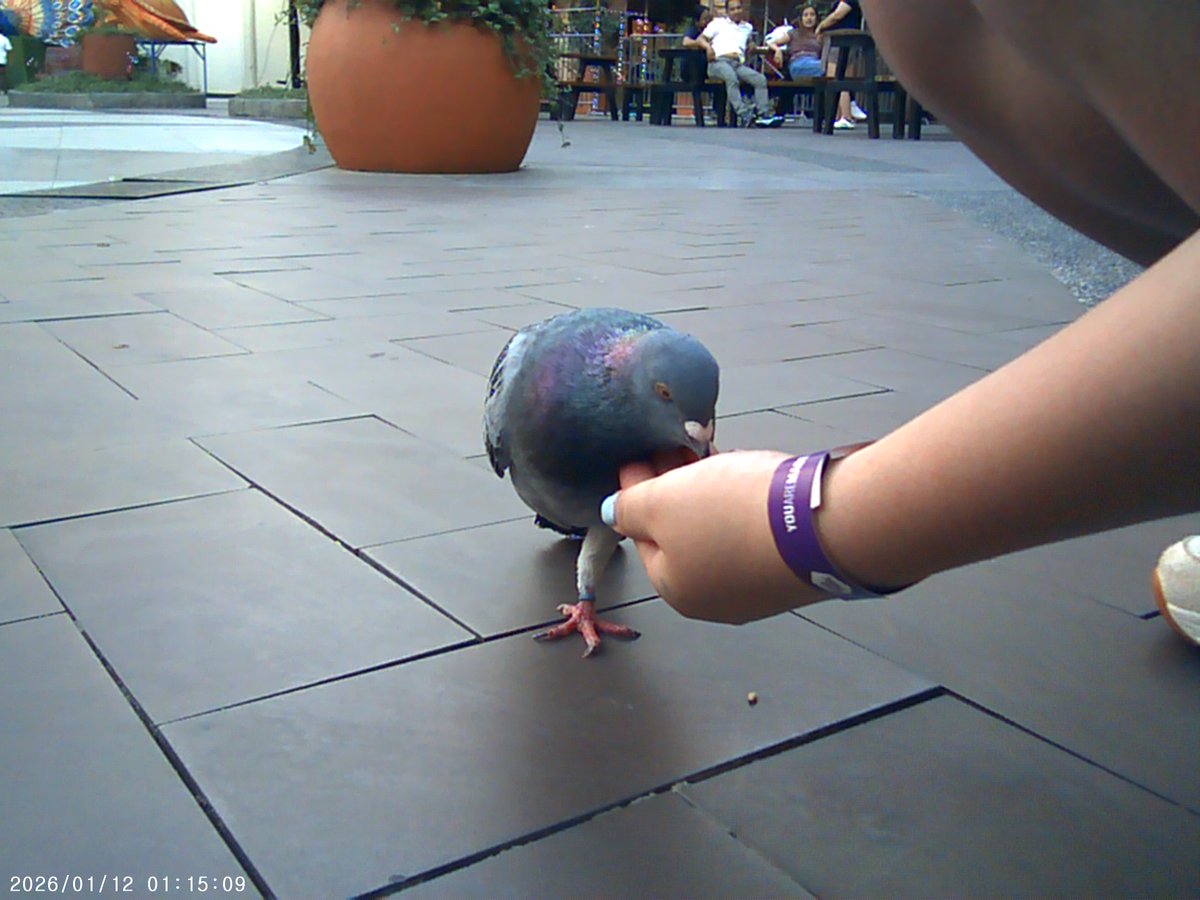 mugi 😁 tweet media