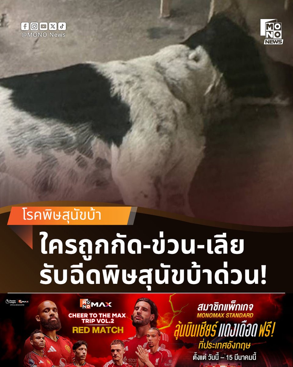 เตือน! รีบฉีดวัคซีนป้องกันพิษสุนัขบ้าด่วน หากถูกหมากัดบริเวณสี่แยกไฟแดงชาติชาย

วันที่ 24 กุมภาพันธ์ 2569 สำนักงานสาธารณสุขจังหวัดนครราชสีมา ประกาศด่วน ตามหาผู้ที่ถูกสุนัข สีขาว-ดำ "กัด , ข่วน , เลีย" ที่บริเวณรัศมีไม่เกิน 100 เมตร จากสี่แยกไฟแดงชาติชาย ต.สุรนารี