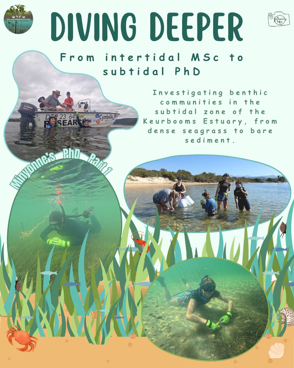 DSI/NRF SWE Research Chair tweet media