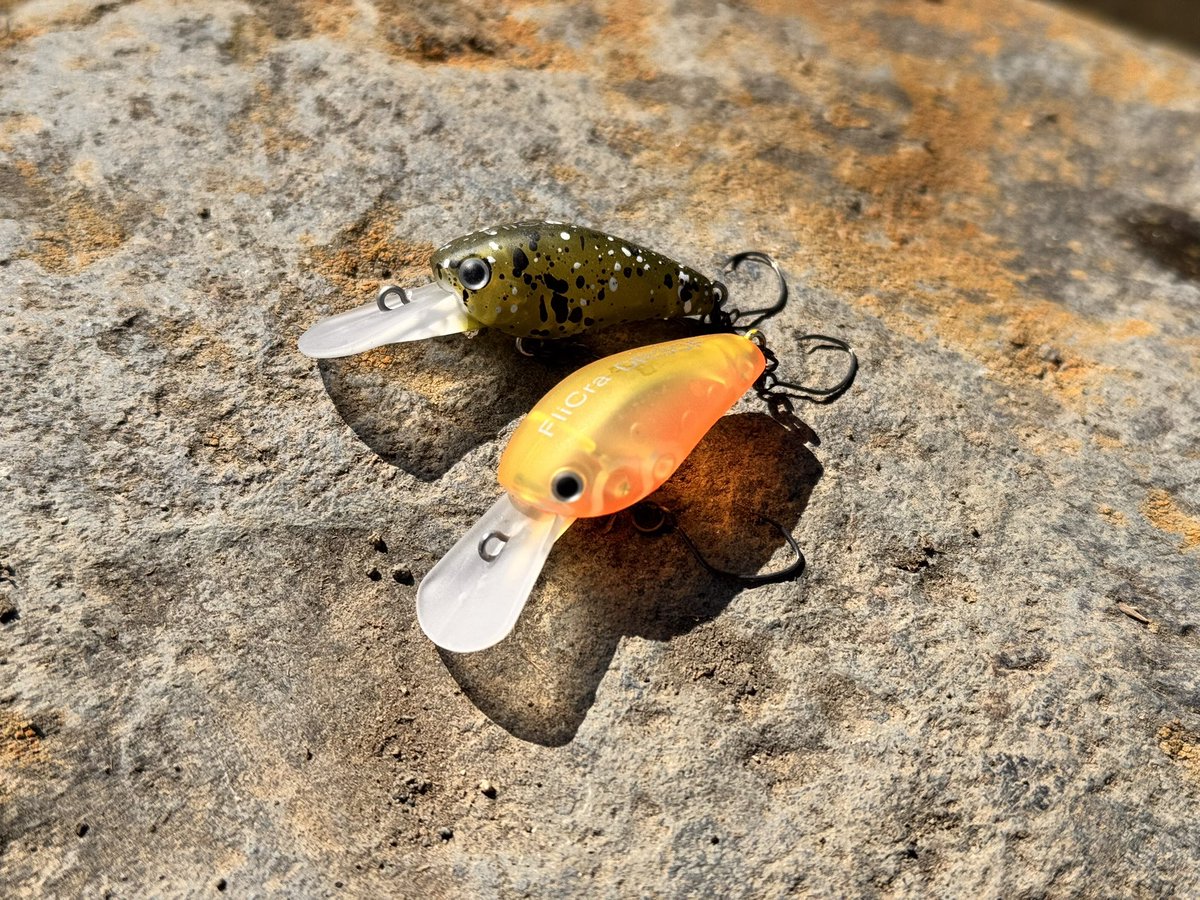 ティムコ トラウトフィッシング (@tiemco_trout) / Posts / X