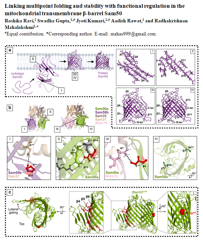 R. Mahalakshmi tweet media