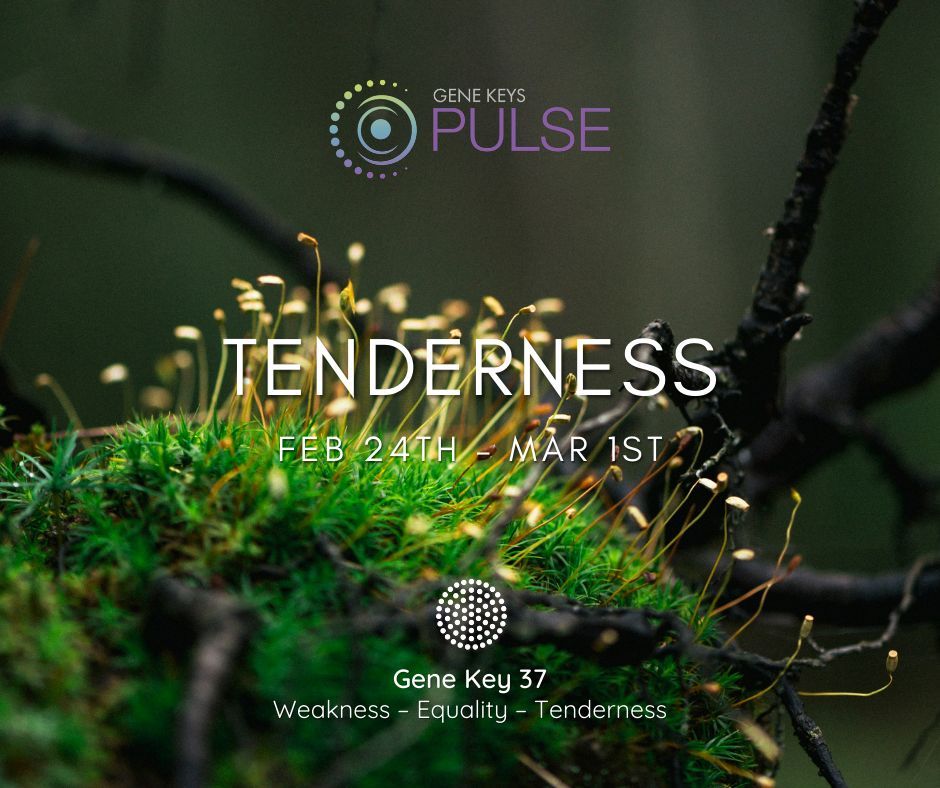 The Gene Keys tweet media