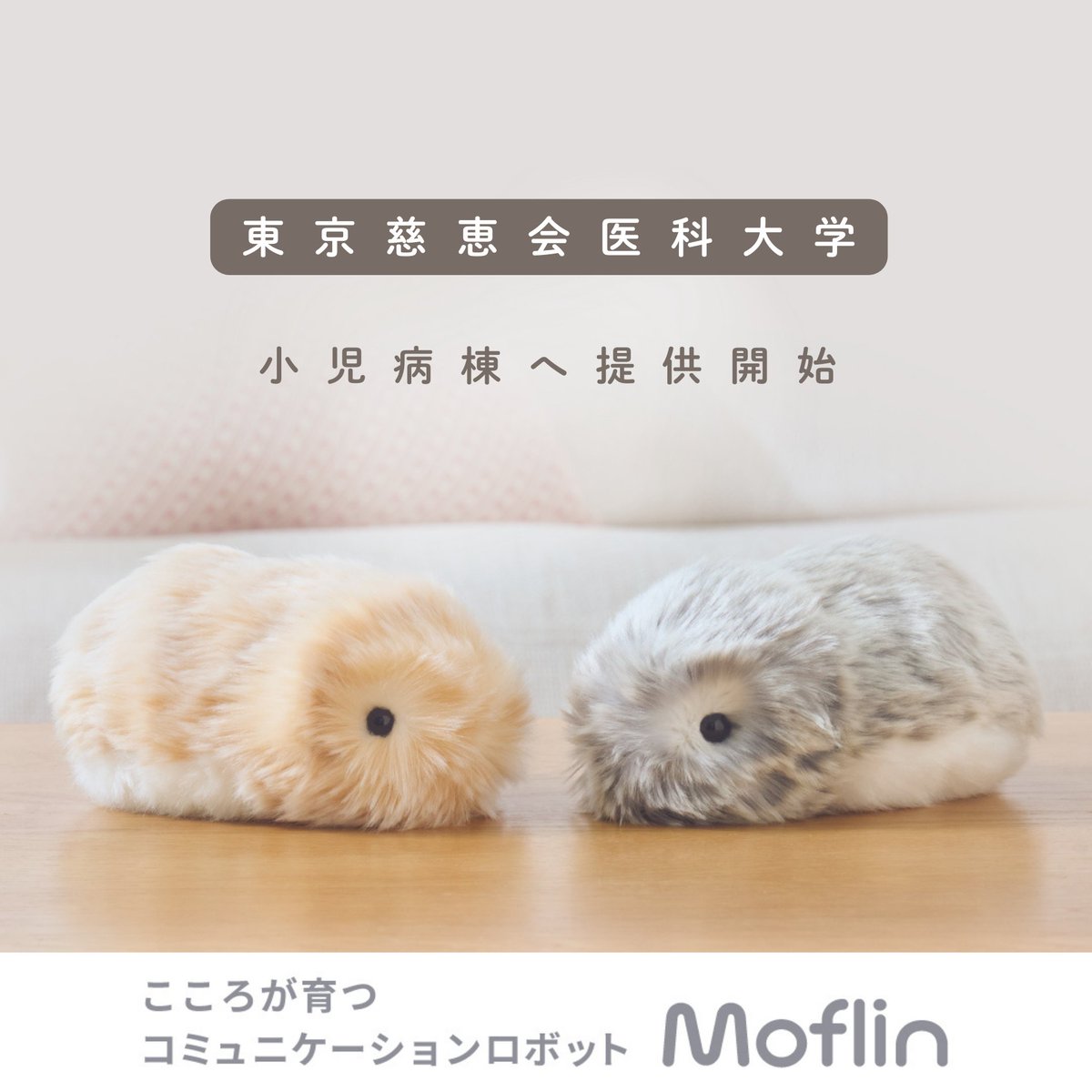 公式】Moflin（モフリン）｜感情が育つAIペット (@casio_moflin