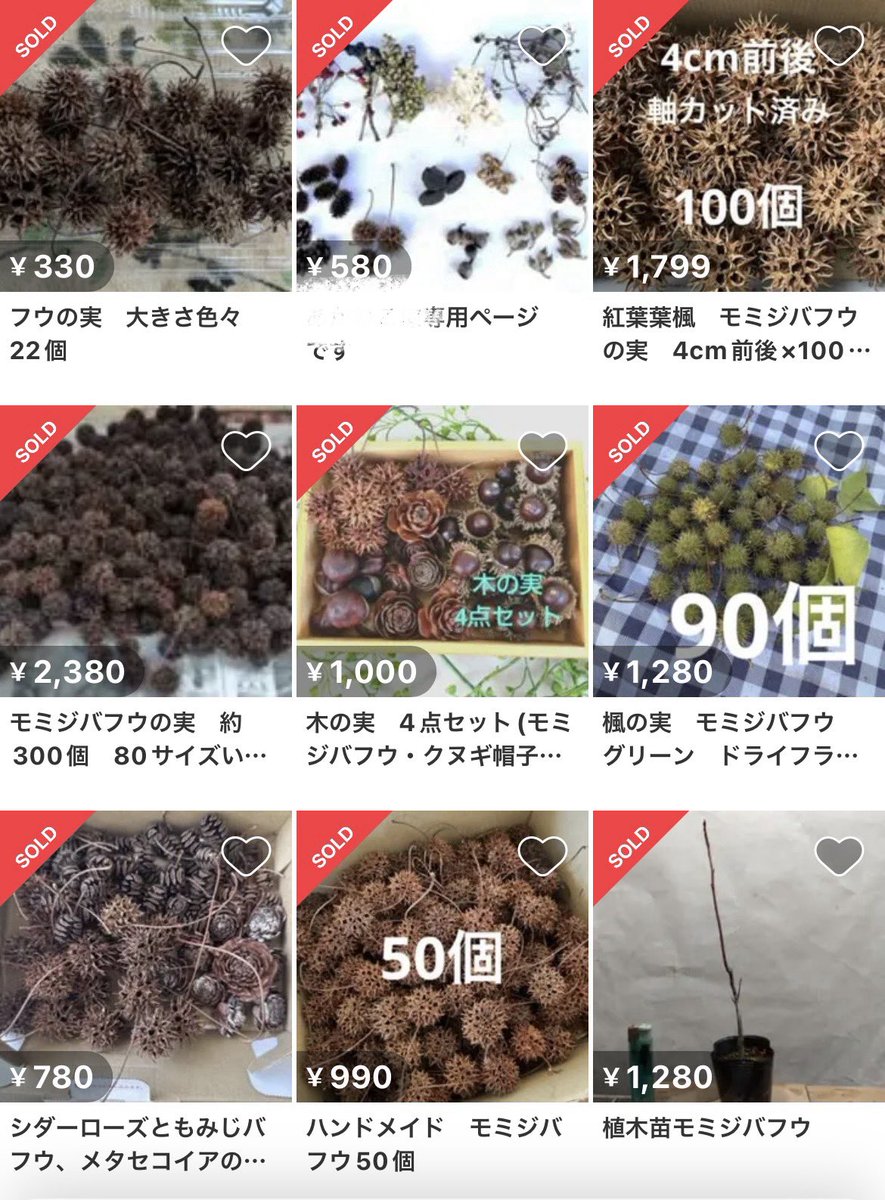 まめっぴ tweet media