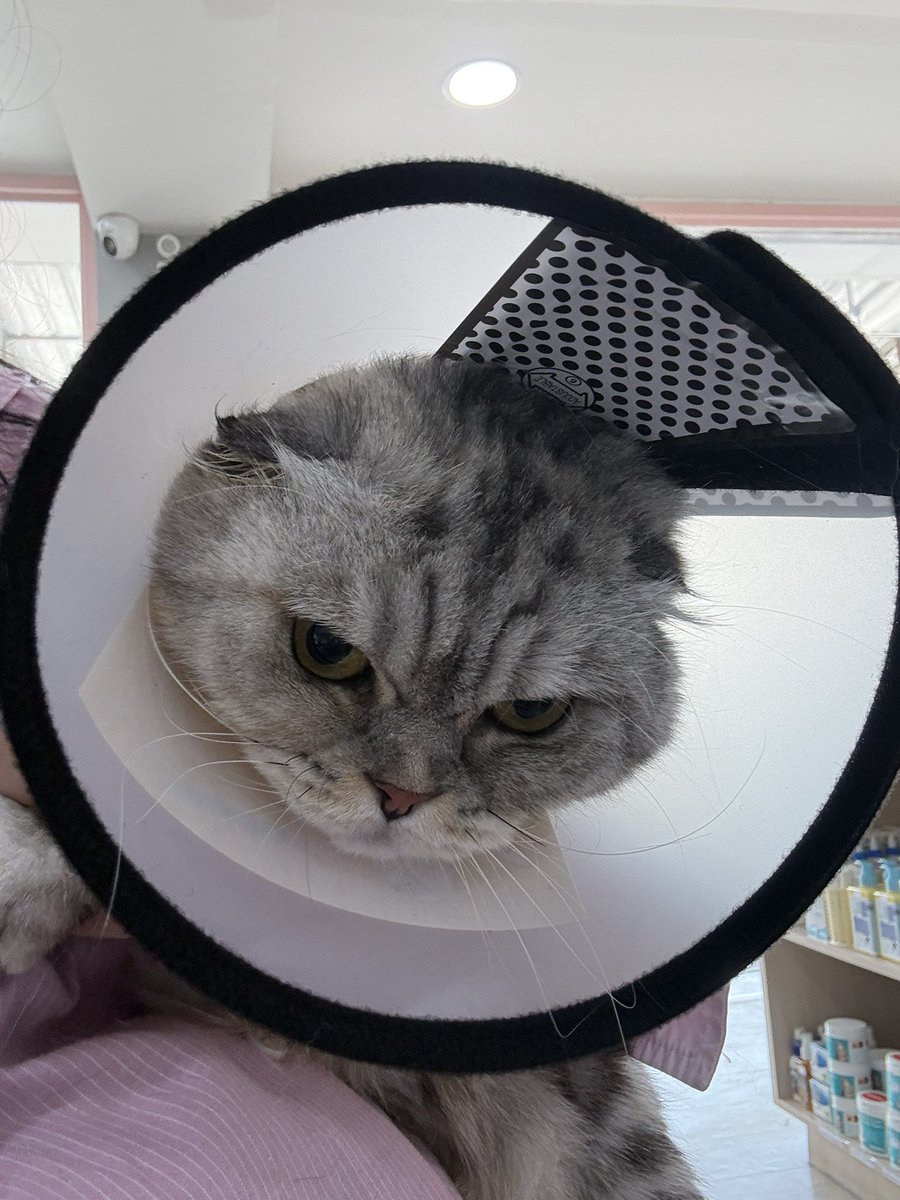 อายุเกือบ 5 ขวบ มีลำโพงเป็นของตัวเองครั้งที่ 3