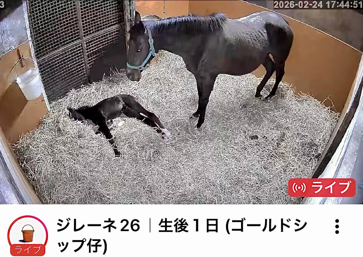 桜百 (おと)＼＼\٩( 'ω' )و //／／ (@IAmTheLuckiest7) / Posts / X