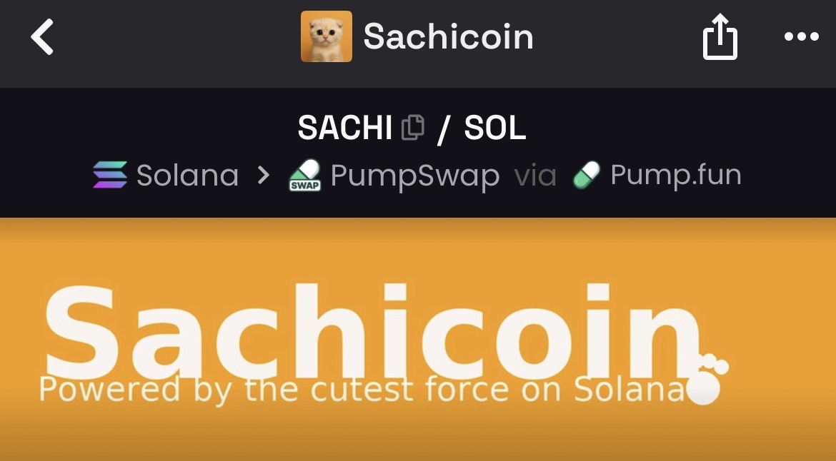 three months later and I’m still a $SACHI maxi

the whole community’s still active even when the chart gives them reason not to 

Ngl that attitude is what sends SACHI higher when liquidity returns