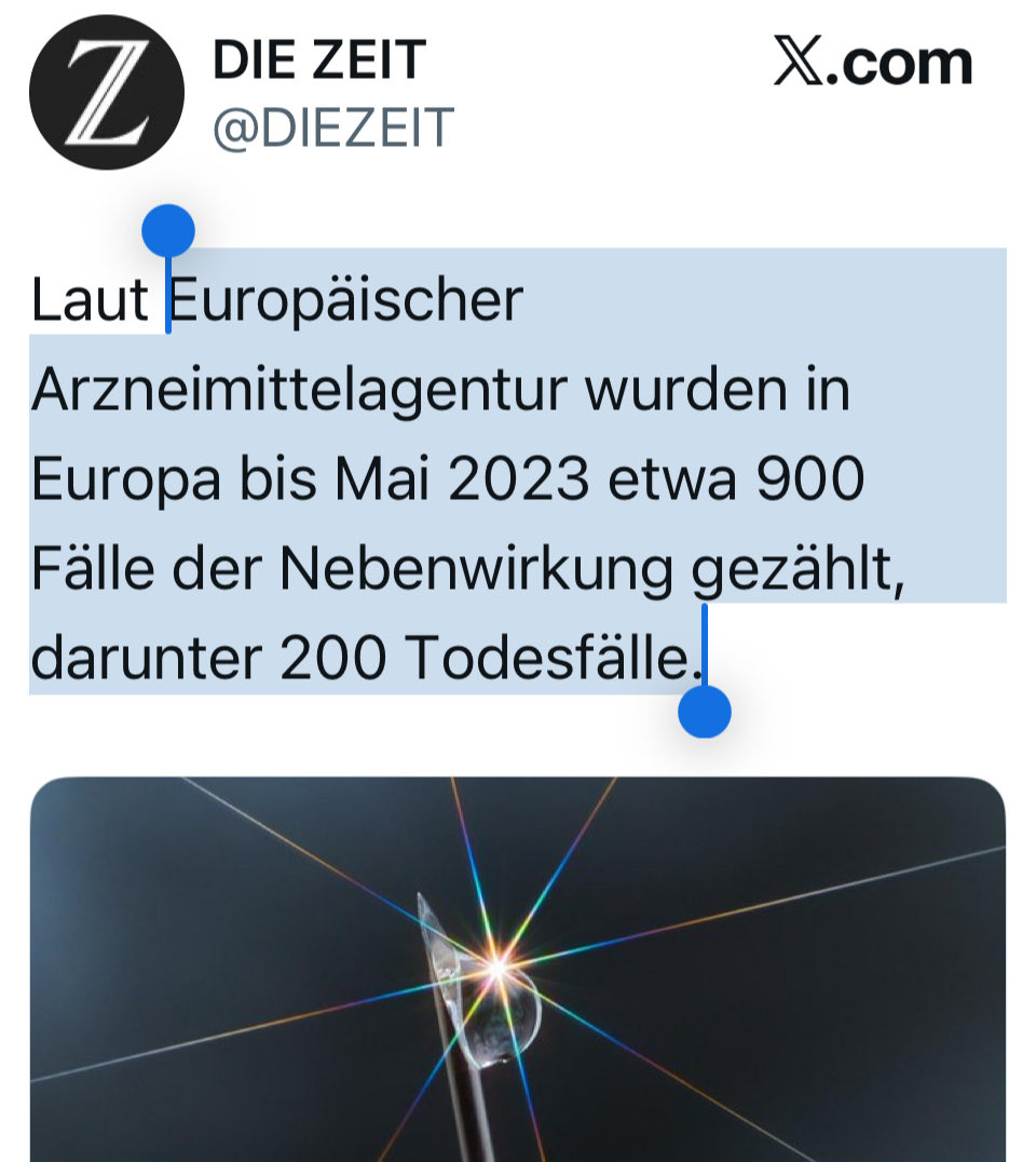 stefanie tweet media