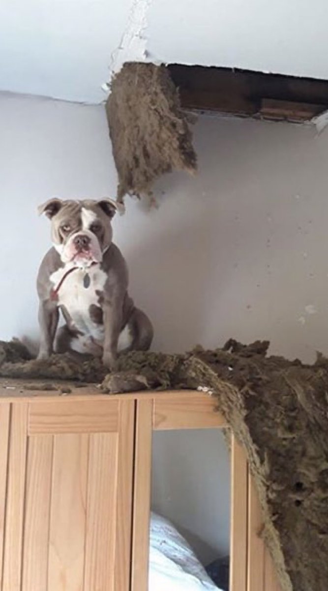 Paul Bronks tweet media