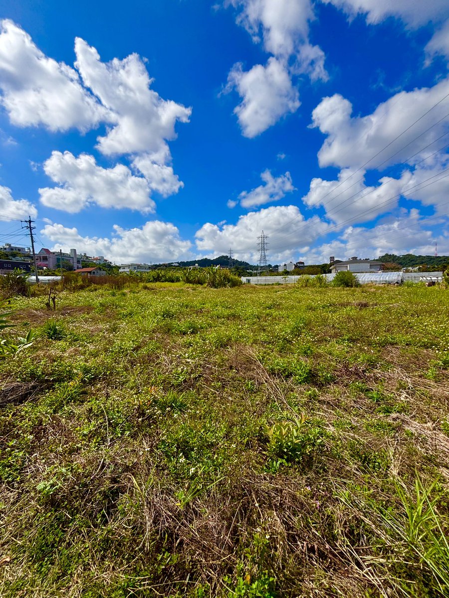 夕方から風が冷たいね〜🍃
#イマソラ