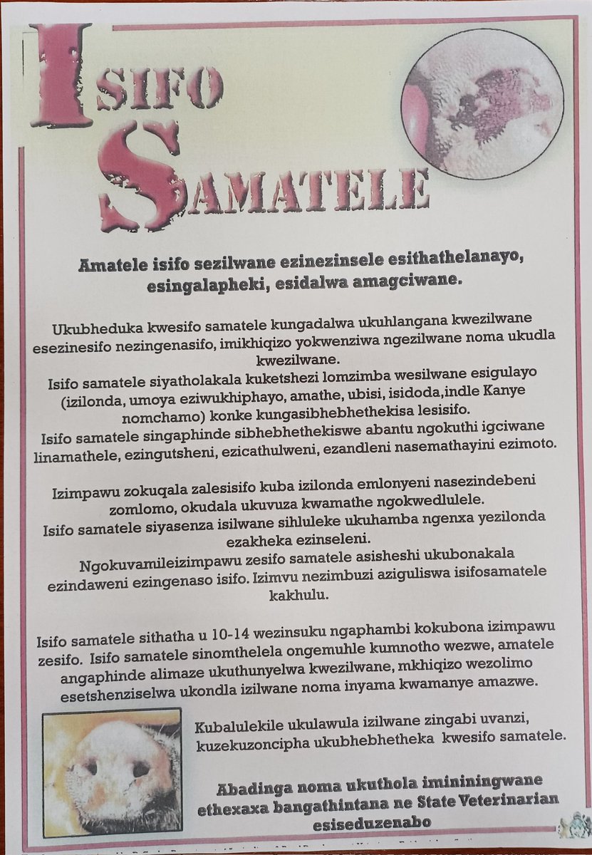 Lloyd Phillips tweet media