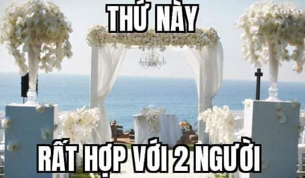 Cessalie tweet media