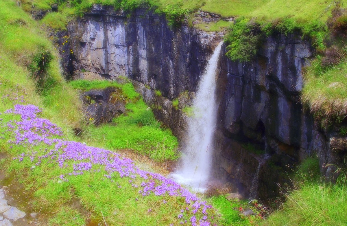 Friends of the Settle-Carlisle Line (FoSCL) tweet media